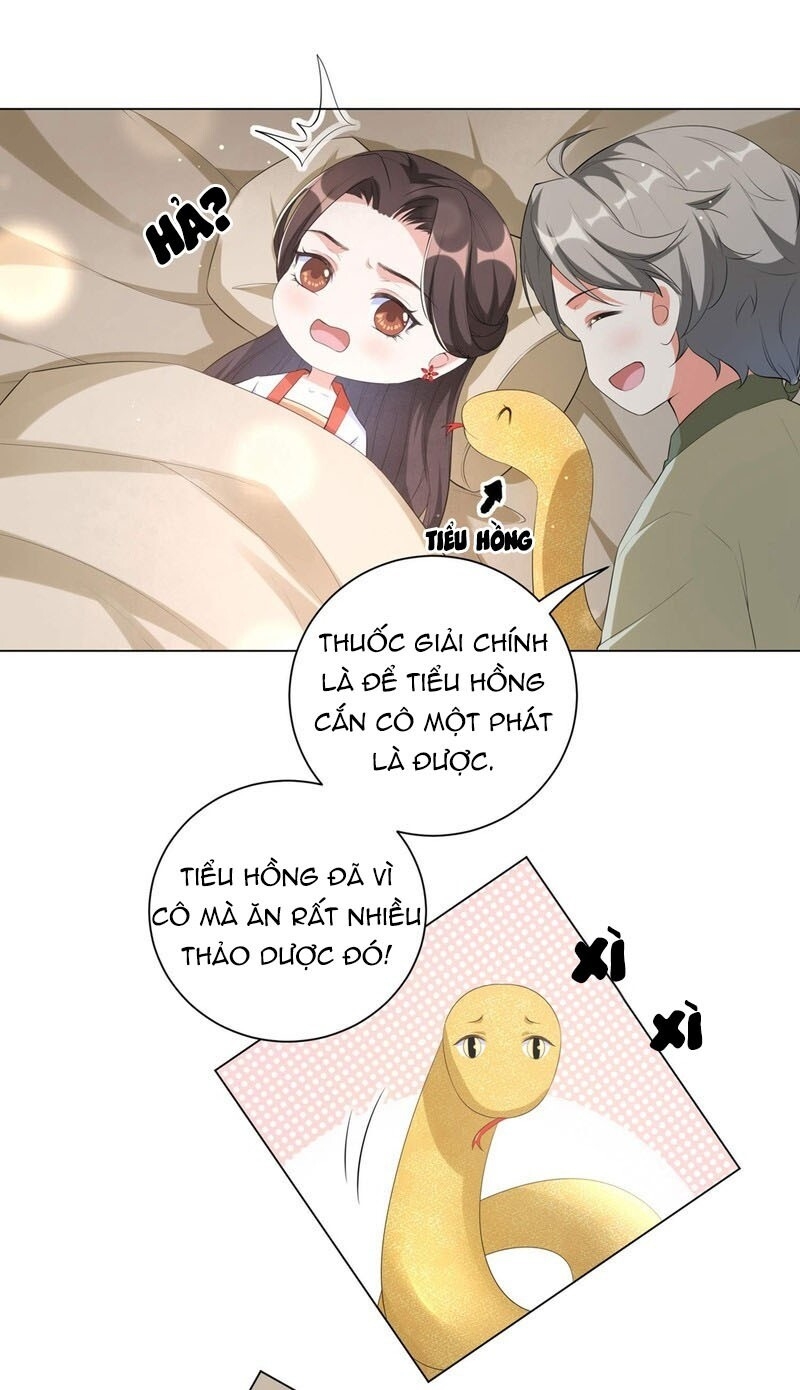 Vương Phi Có Độc! Chapter 84 - Trang 2