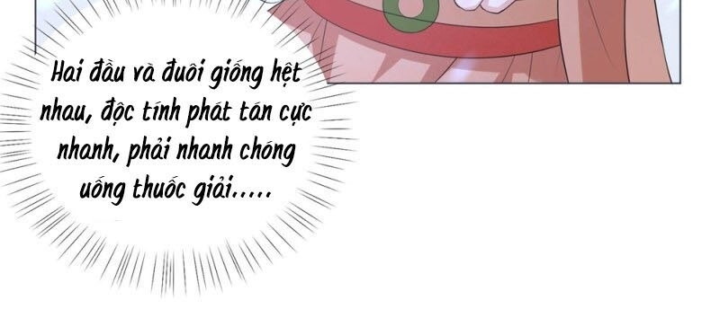 Vương Phi Có Độc! Chapter 83 - Trang 2