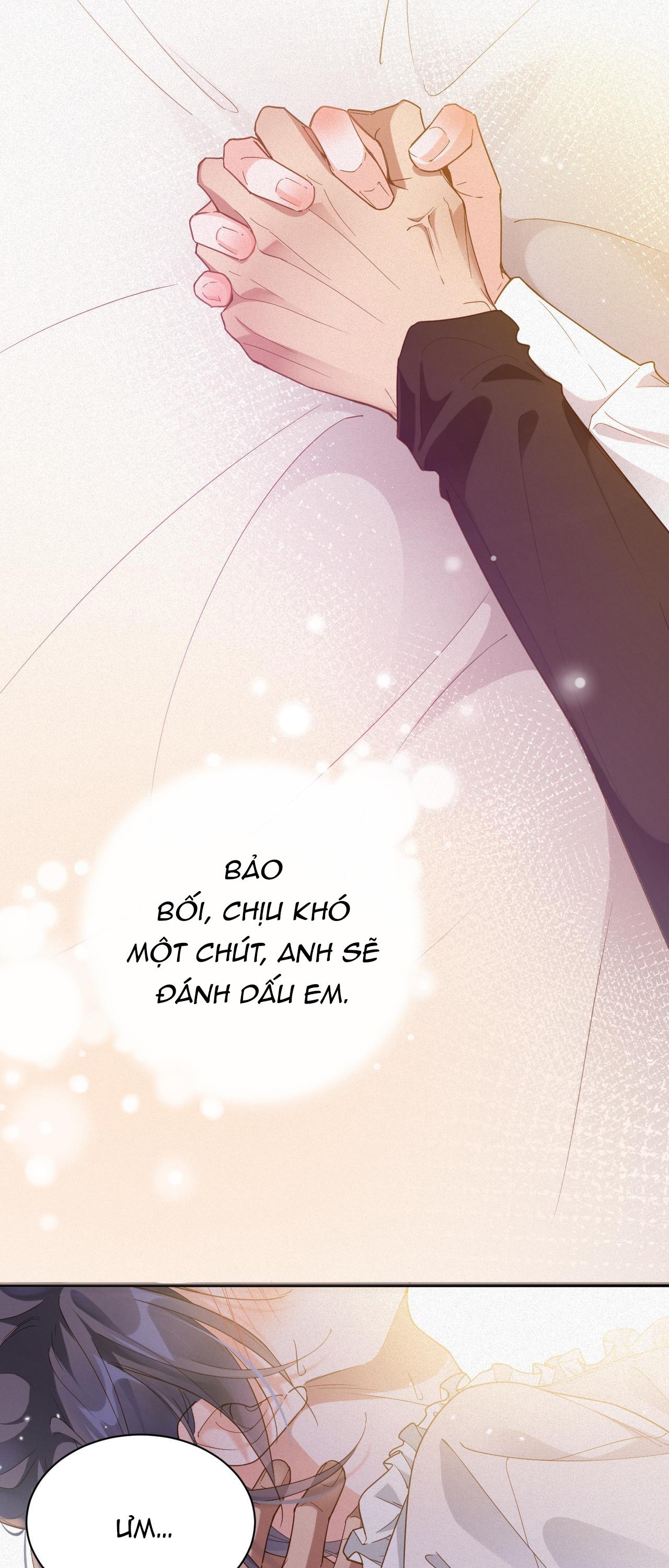 Chồng Cũ Muốn Tái Hôn Lần Nữa Chapter 36 - Trang 2