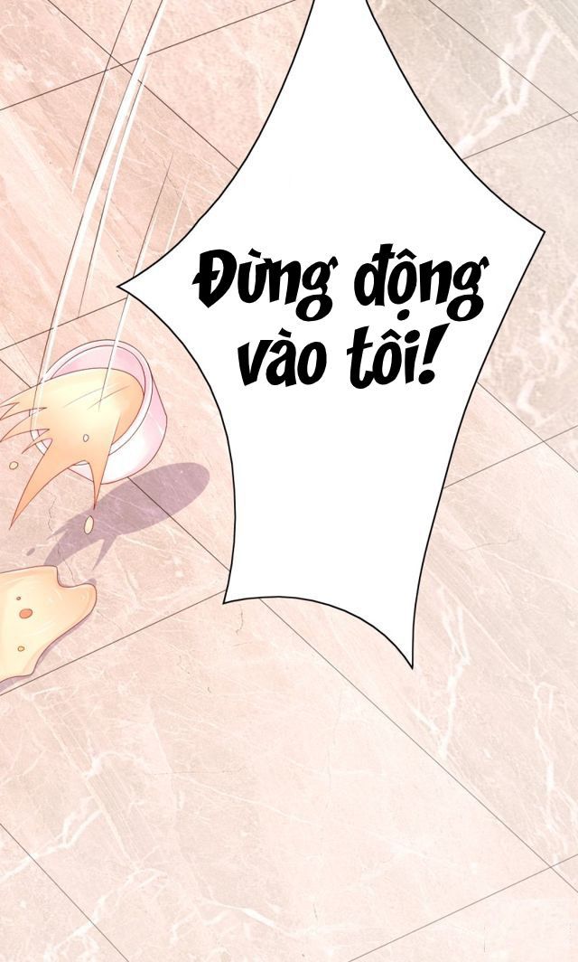 Tôi Đã Yêu Anh Trai Mình Chapter 7 - Trang 2