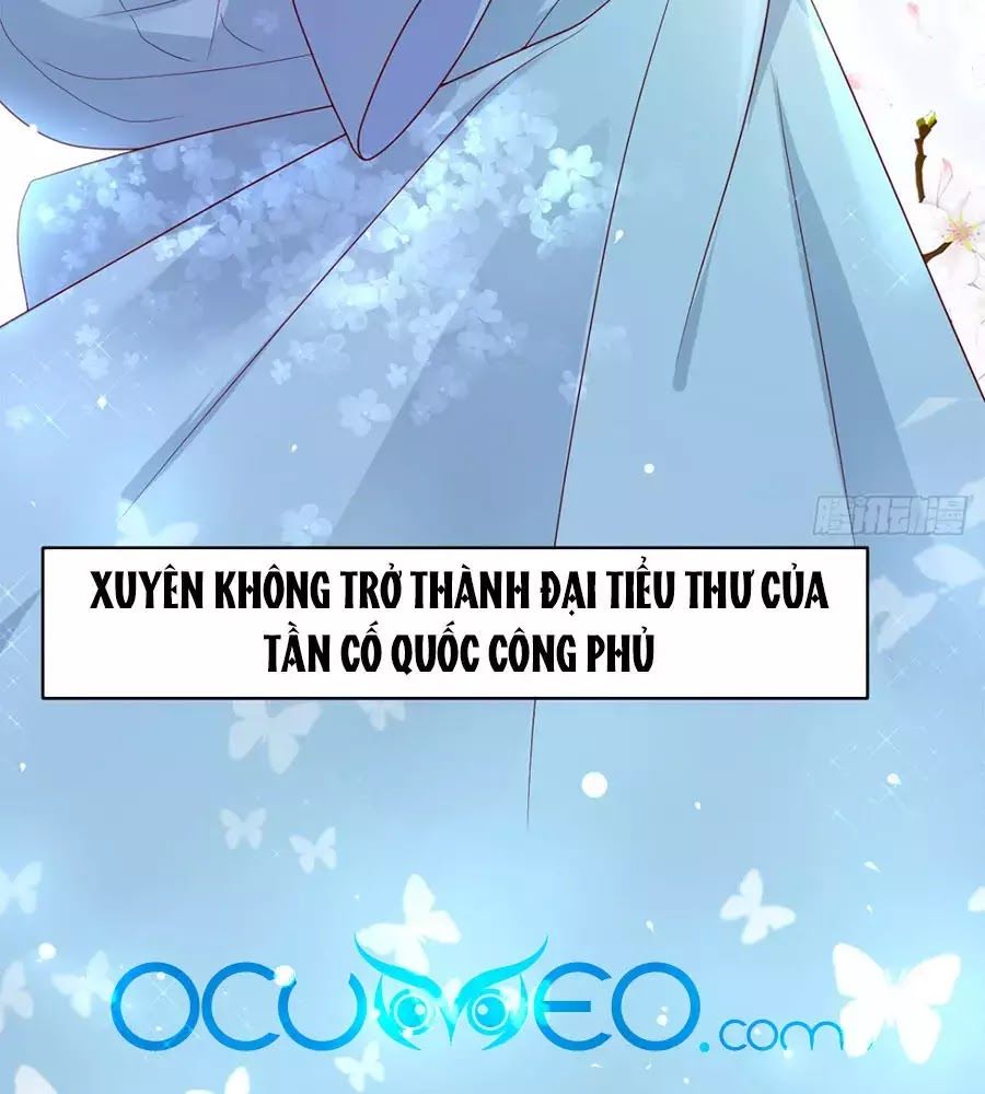 Quyền Phi Chi Đế Y Phong Hoa Chapter 2 - Trang 2