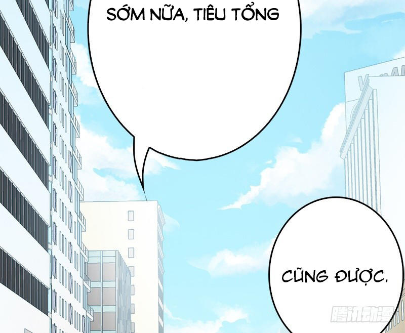 Thần Bí Đế Thiếu Điềm Sủng Thê Chapter 11 - Trang 2