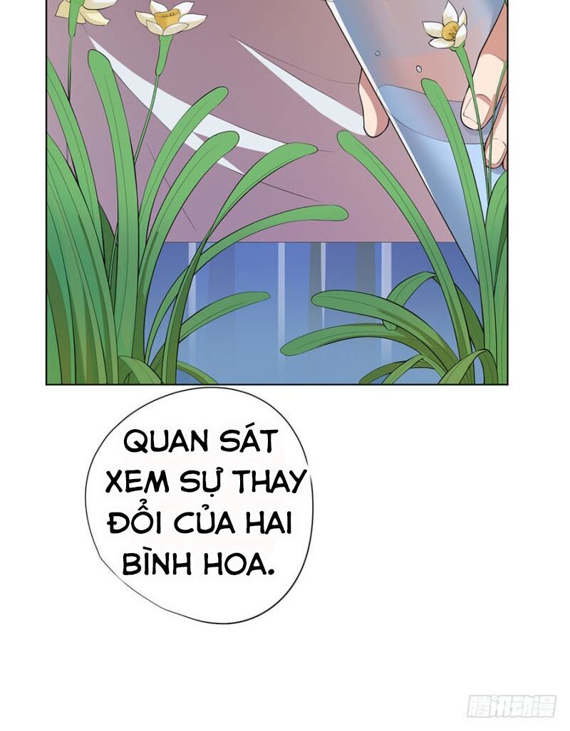 Nghịch Thiên Thần Y Chapter 72 - Trang 2