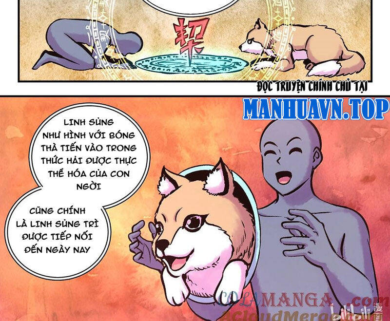 Côn Thôn Thiên Hạ Chapter 314 - Trang 2