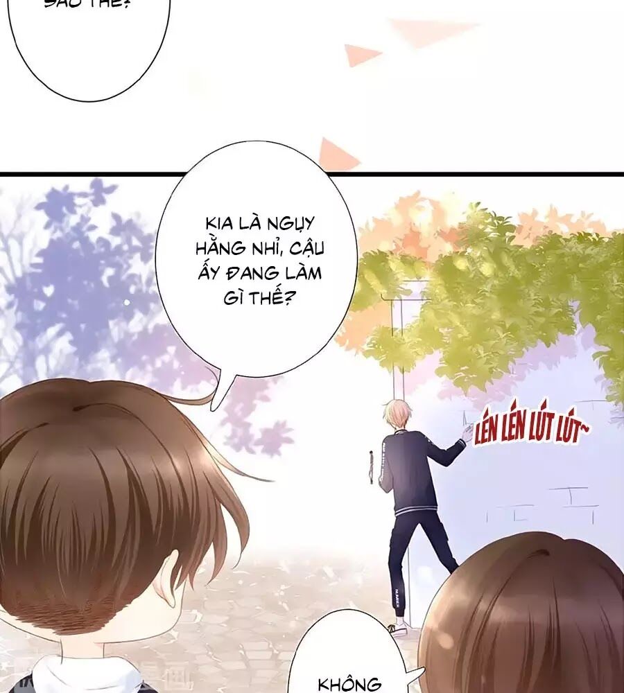 Hoa Chưa Nở Rộ Chapter 19 - Trang 2