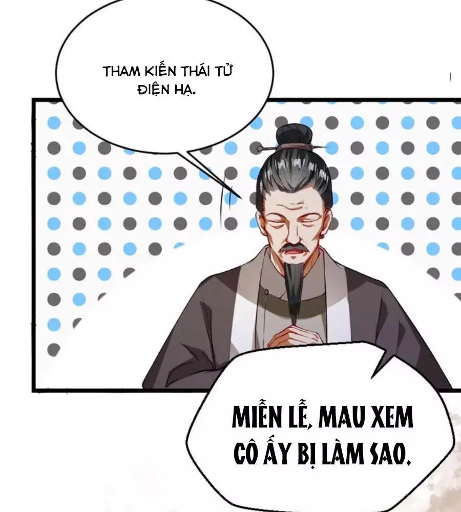 Thái Tử Điện Hạ, Nô Tài Có Hỉ Rồi Chapter 27 - Trang 2