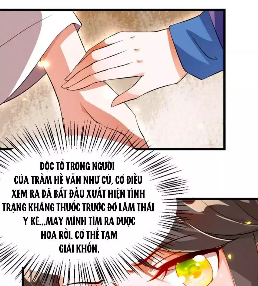 Thái Tử Điện Hạ, Nô Tài Có Hỉ Rồi Chapter 14 - Trang 2