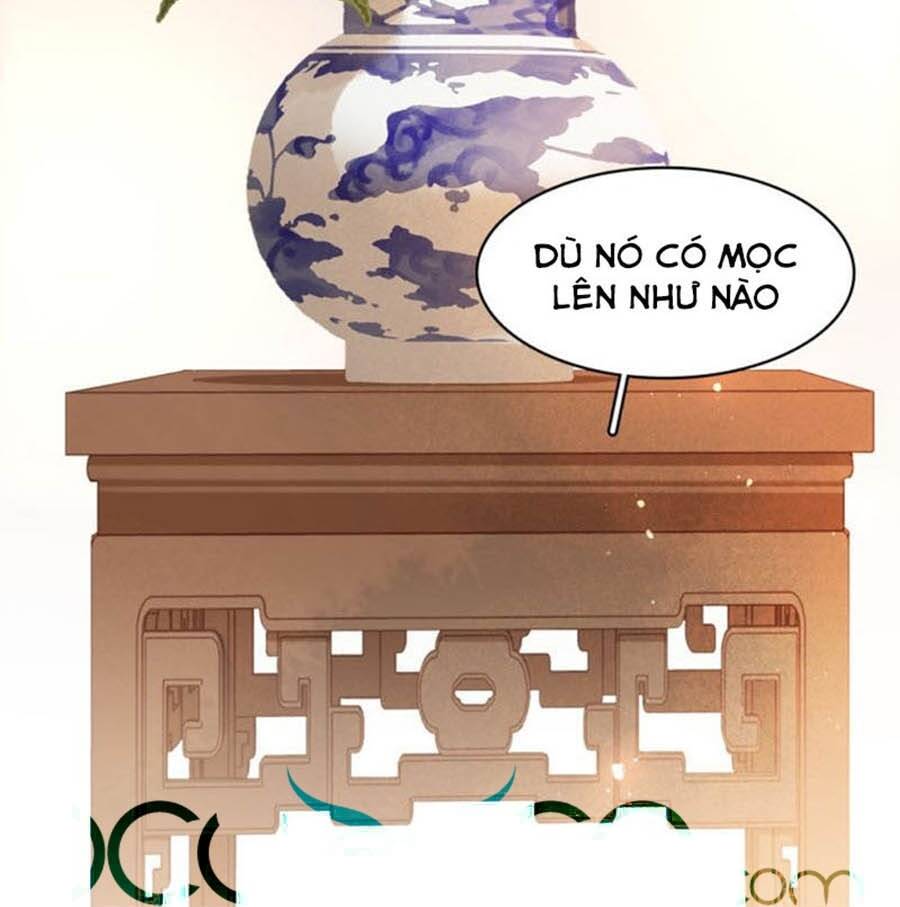 Tiểu Sư Phụ, Tóc Giả Của Ngài Rơi Rồi! Chapter 36 - Trang 2