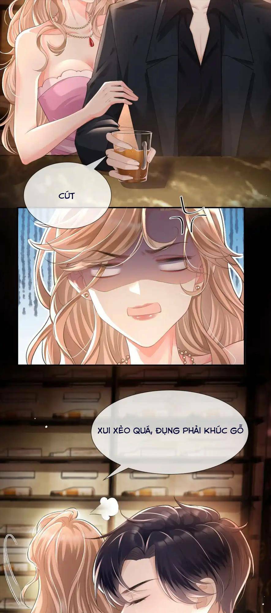 Cố Ý Chiếm Đoạt Chapter 13 - Trang 2