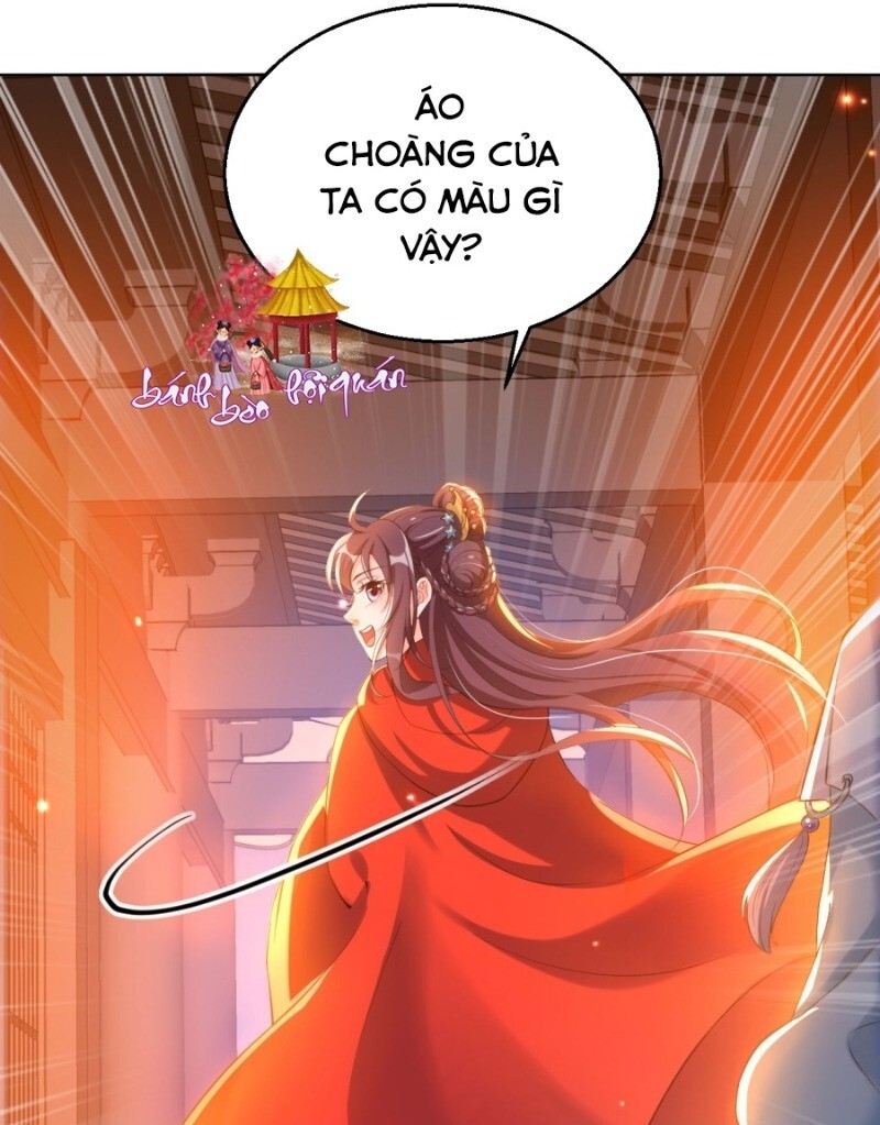 Nữ Tiên Tôn Bận Đào Hôn Chapter 8 - Trang 2