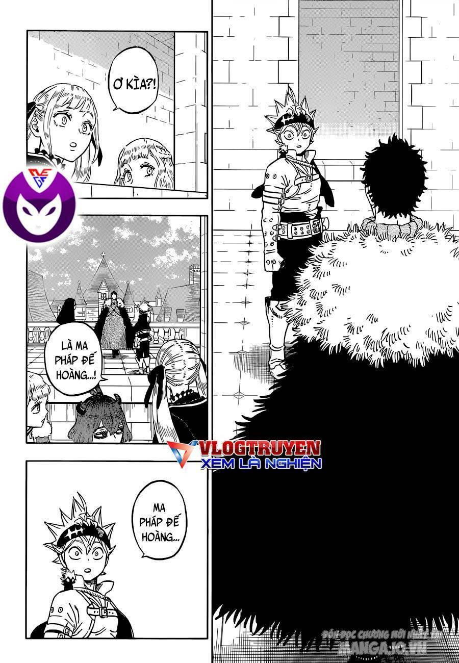 Black Clover – Thế Giới Phép Thuật Chapter 333 - Trang 2