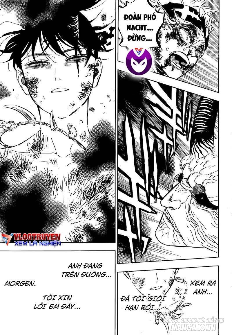 Black Clover – Thế Giới Phép Thuật Chapter 322 - Trang 2