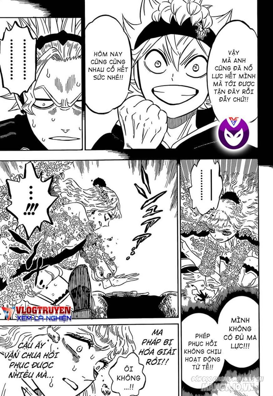 Black Clover – Thế Giới Phép Thuật Chapter 321 - Trang 2