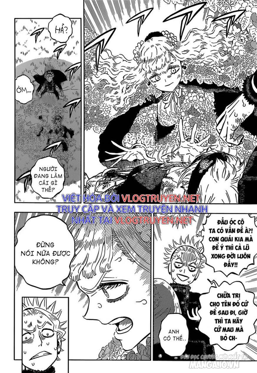 Black Clover – Thế Giới Phép Thuật Chapter 321 - Trang 2