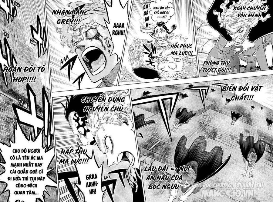 Black Clover – Thế Giới Phép Thuật Chapter 314 - Trang 2