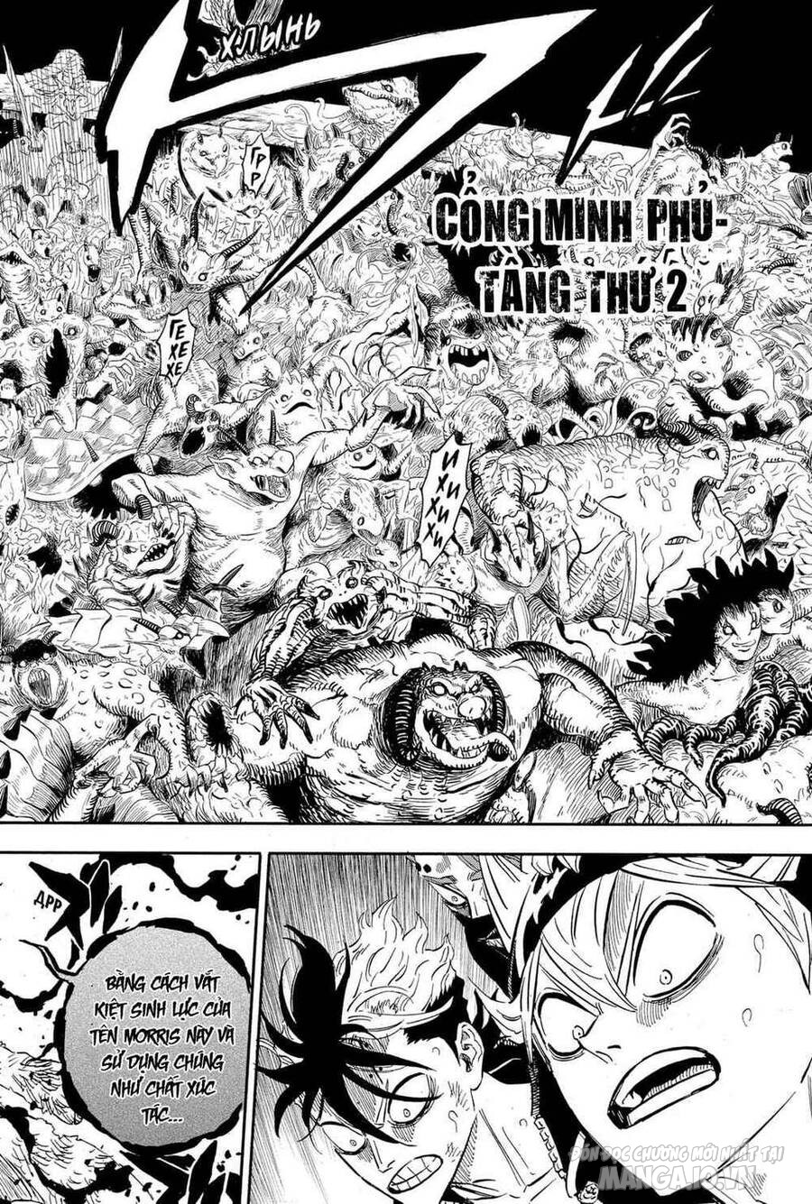 Black Clover – Thế Giới Phép Thuật Chapter 314 - Trang 2