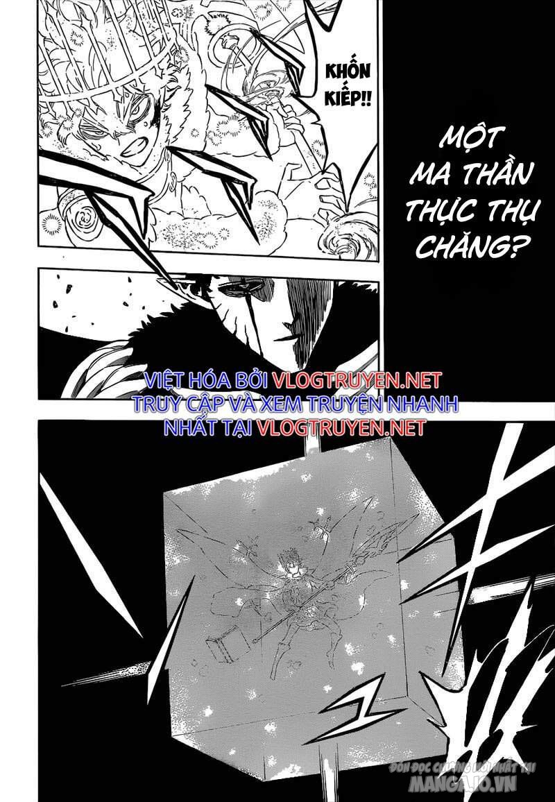 Black Clover – Thế Giới Phép Thuật Chapter 307 - Trang 2