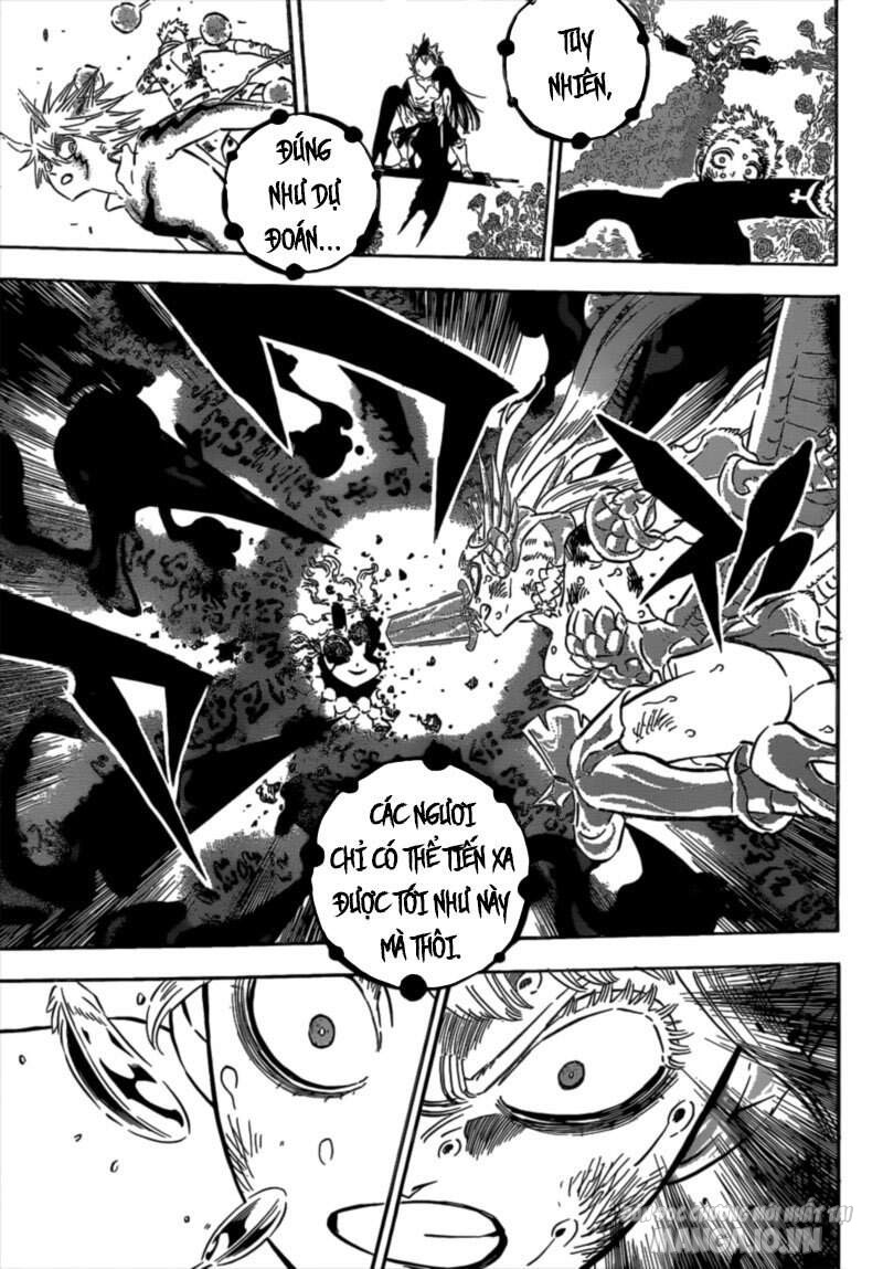 Black Clover – Thế Giới Phép Thuật Chapter 302 - Trang 2