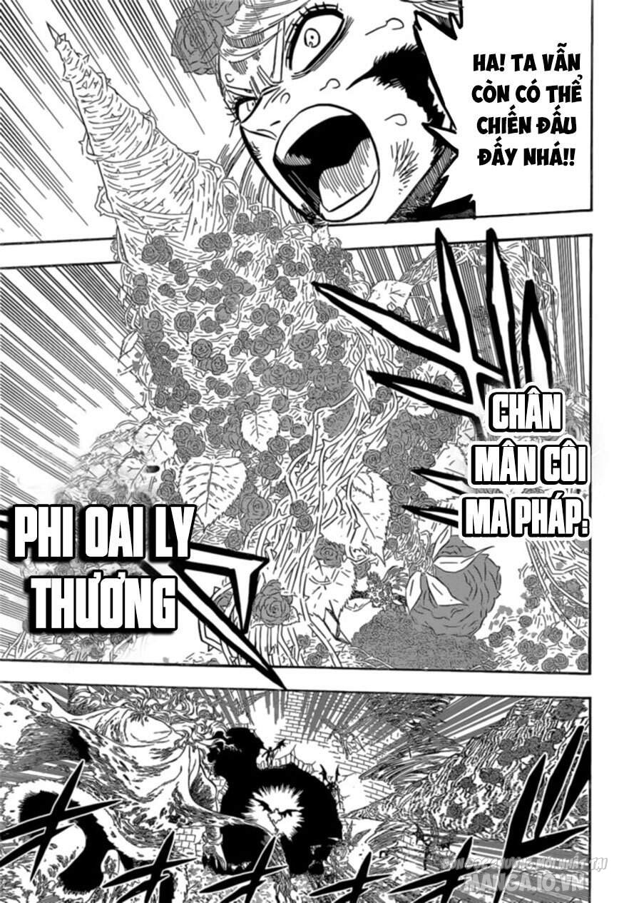 Black Clover – Thế Giới Phép Thuật Chapter 302 - Trang 2