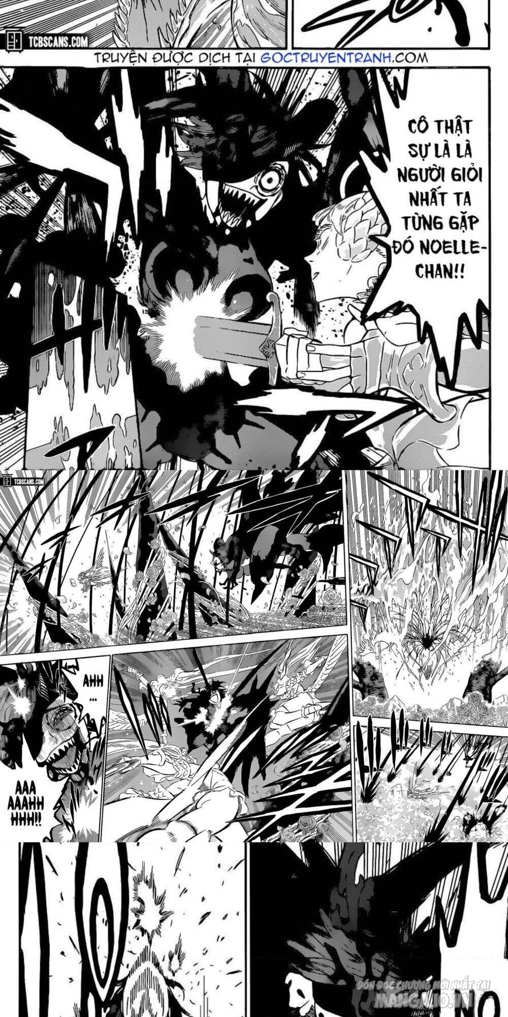 Black Clover – Thế Giới Phép Thuật Chapter 297 - Trang 2