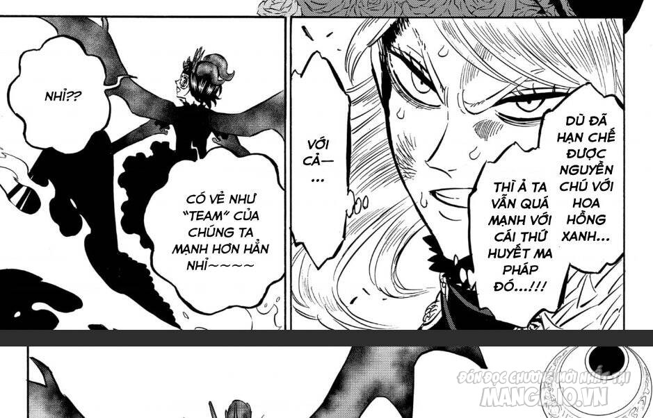 Black Clover – Thế Giới Phép Thuật Chapter 294 - Trang 2