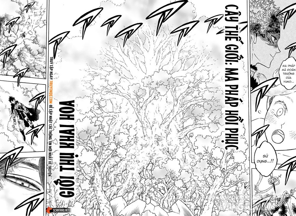 Black Clover – Thế Giới Phép Thuật Chapter 239 - Trang 2