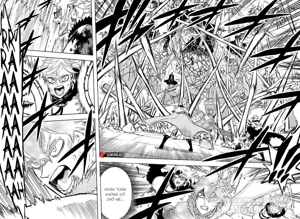 Black Clover – Thế Giới Phép Thuật Chapter 238 - Trang 2