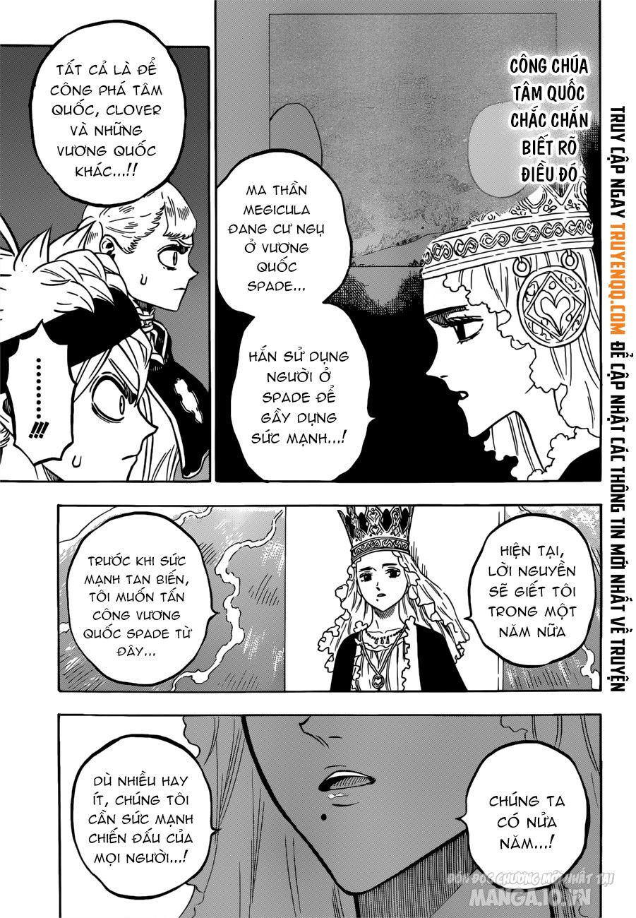 Black Clover – Thế Giới Phép Thuật Chapter 228 - Trang 2