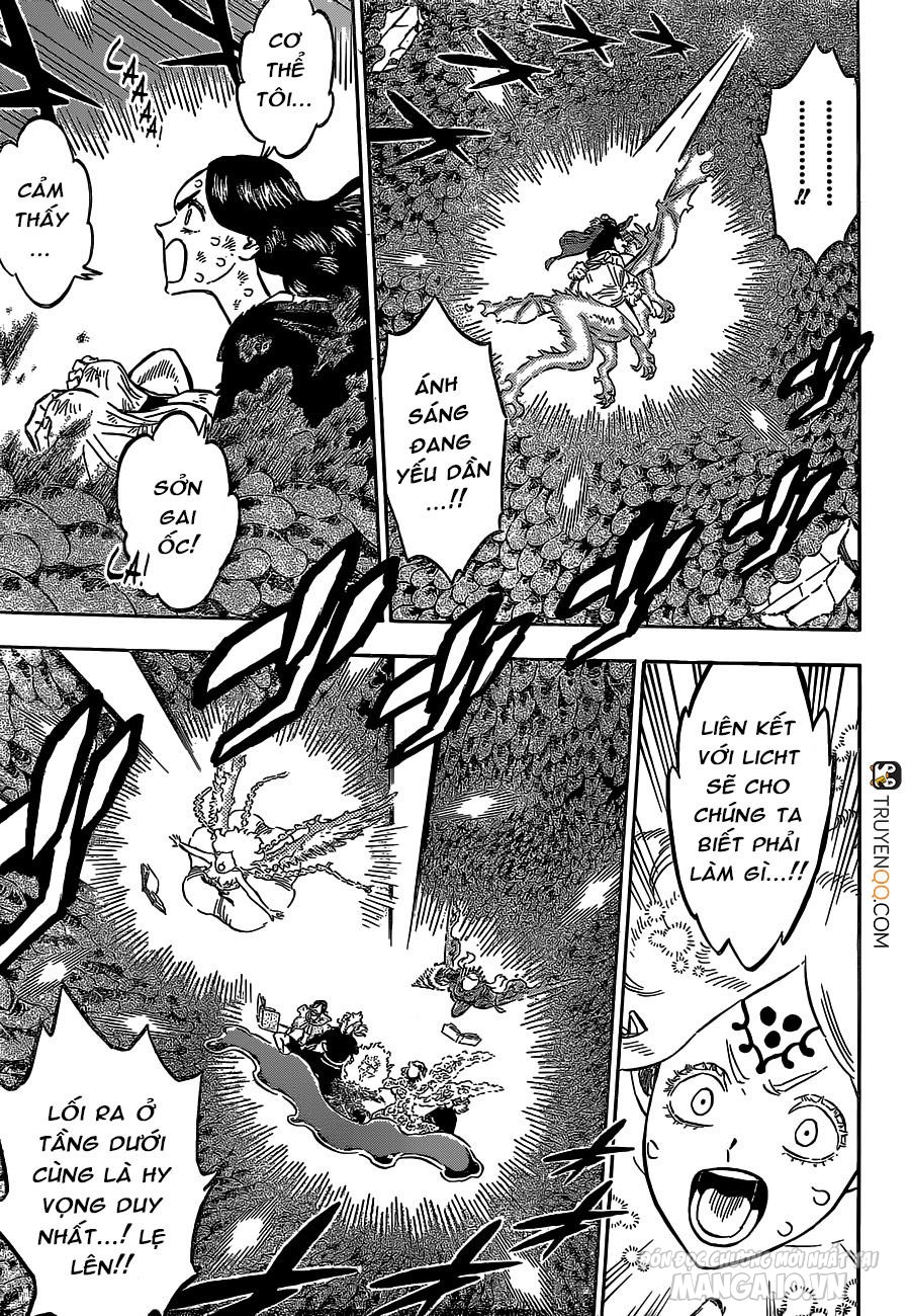 Black Clover – Thế Giới Phép Thuật Chapter 213 - Trang 2