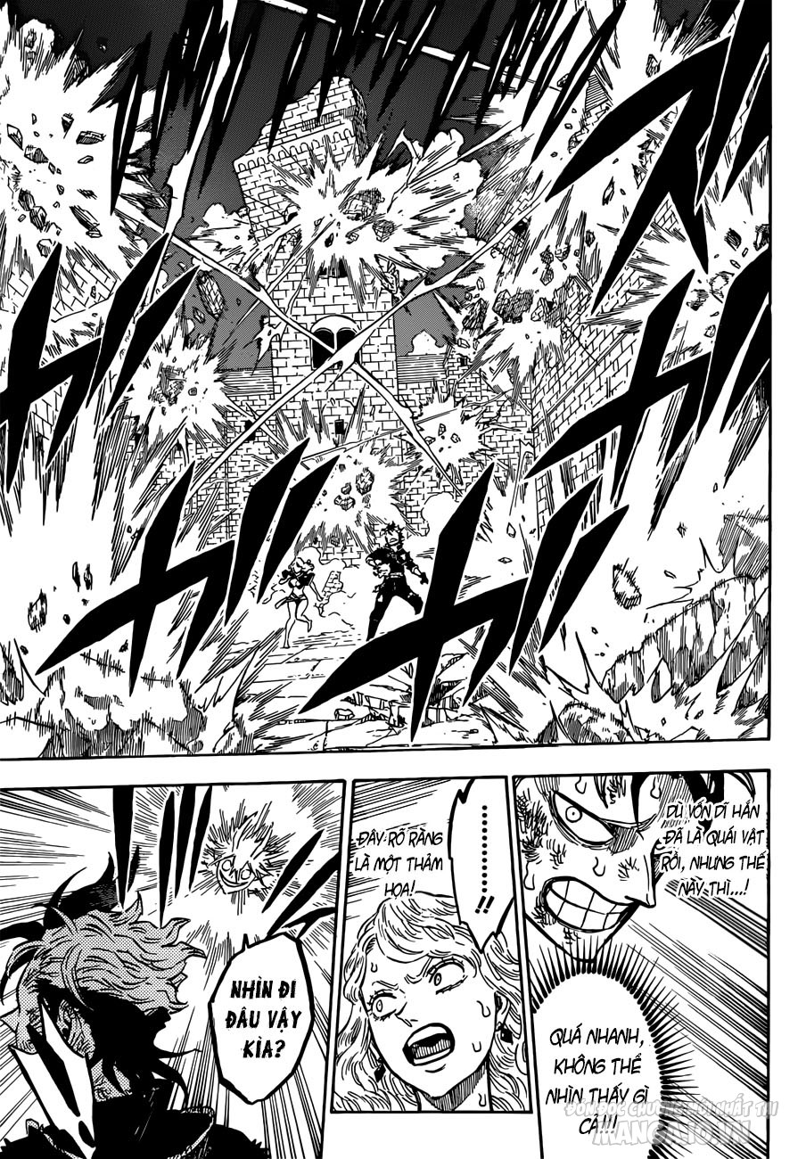 Black Clover – Thế Giới Phép Thuật Chapter 161 - Trang 2