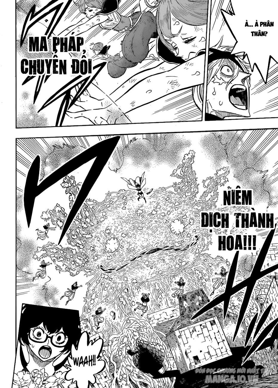 Black Clover – Thế Giới Phép Thuật Chapter 142 - Trang 2