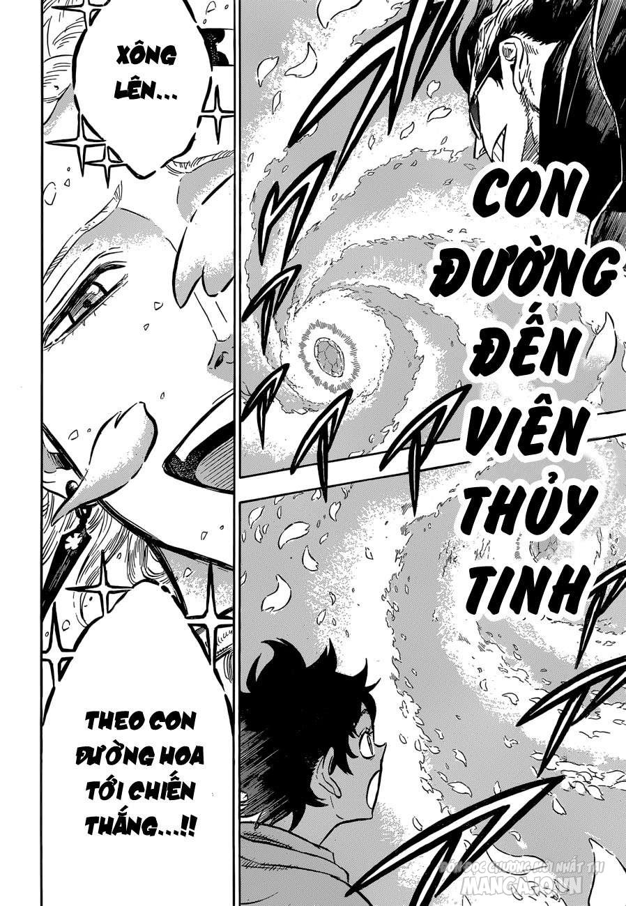 Black Clover – Thế Giới Phép Thuật Chapter 116 - Trang 2