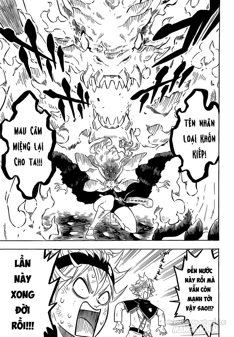 Black Clover – Thế Giới Phép Thuật Chapter 91 - Trang 2