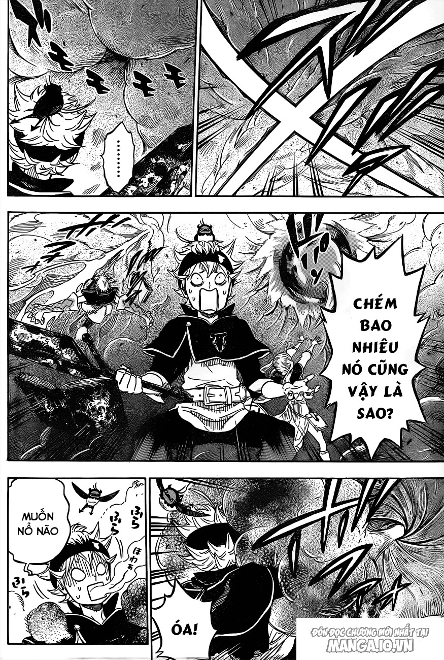 Black Clover – Thế Giới Phép Thuật Chapter 15 - Trang 2