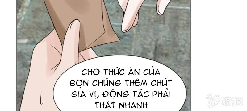 Loạn Thế Đế Hậu Chapter 59 - Trang 2