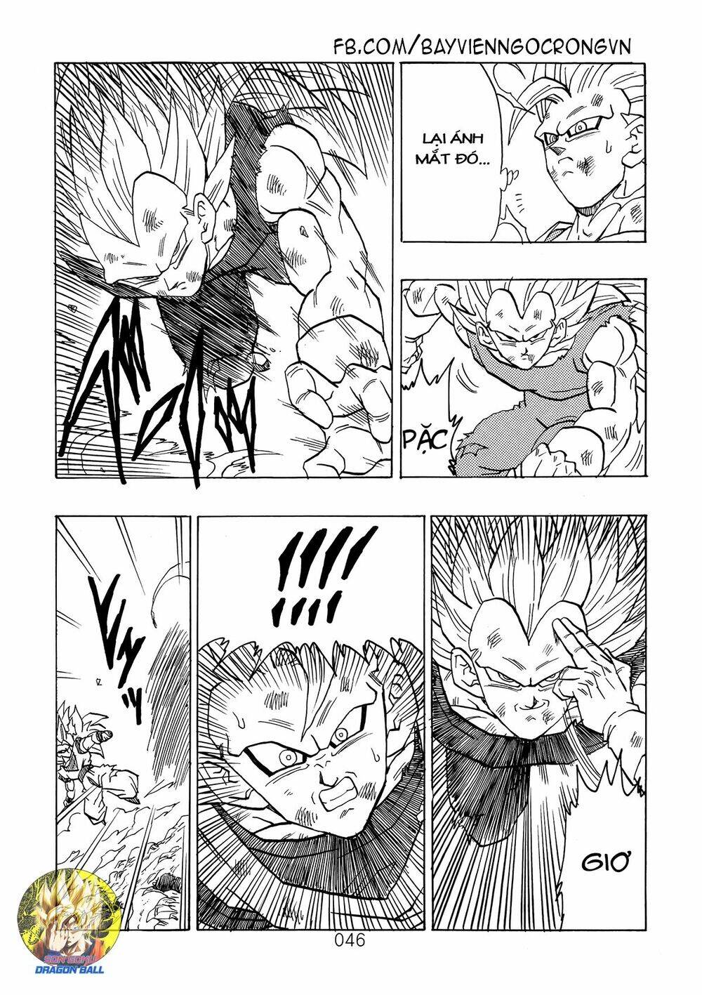 Dragon Ball After Chapter 12 - Trang 2