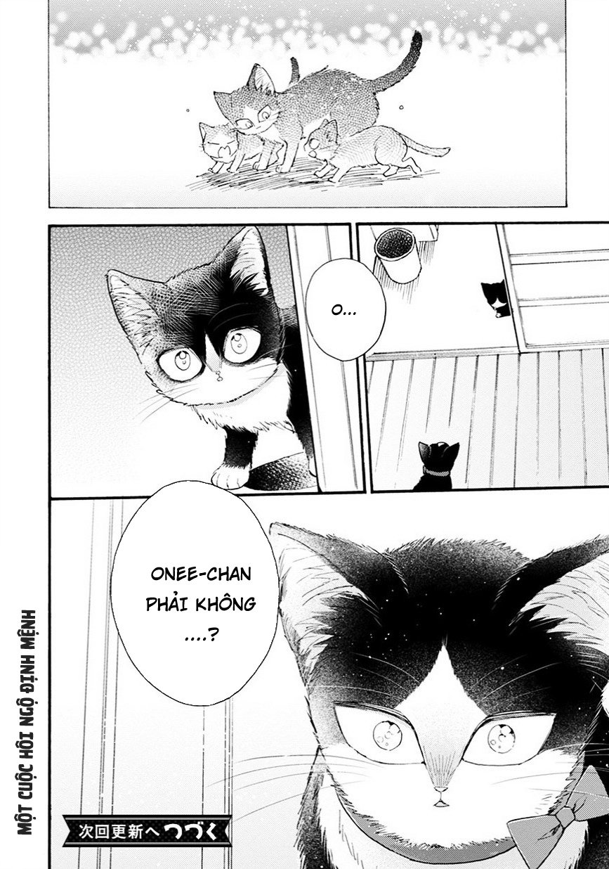 Doukyonin Wa Hiza, Tokidoki, Atama No Ue Chapter 8.5 - Trang 2