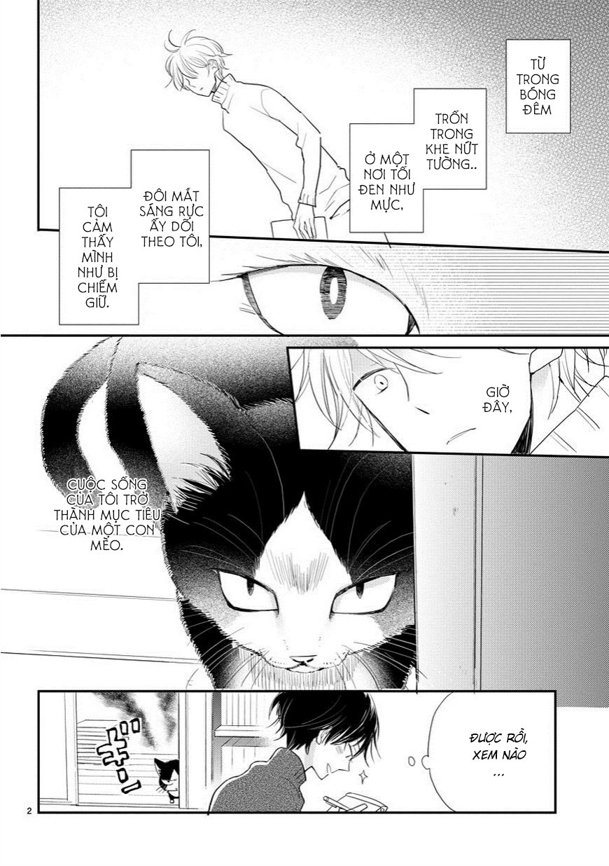 Doukyonin Wa Hiza, Tokidoki, Atama No Ue Chapter 1 - Trang 2