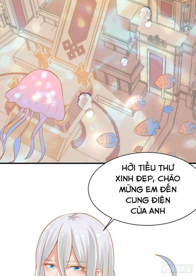 Nhân Ngư Học Trưởng, Đừng Ôm Ta! Chapter 84 - Trang 2