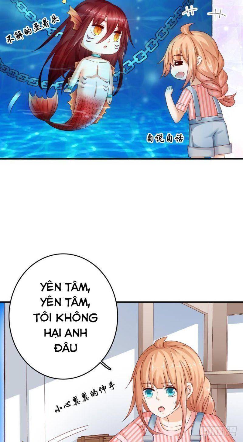 Nhân Ngư Học Trưởng, Đừng Ôm Ta! Chapter 54 - Trang 2