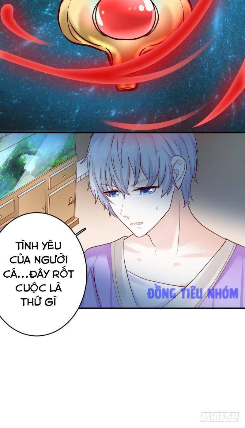 Nhân Ngư Học Trưởng, Đừng Ôm Ta! Chapter 52 - Trang 2