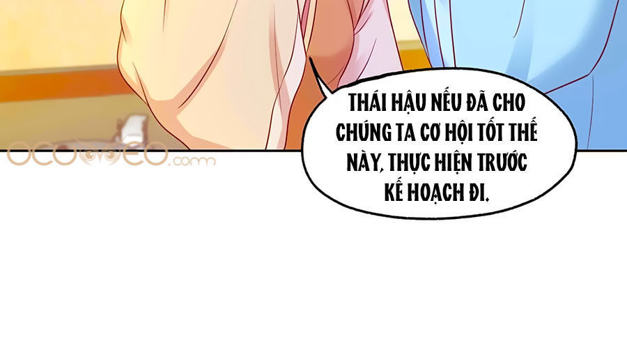 Bệ Hạ! Dưa Hái Xanh Không Ngọt Chapter 8 - Trang 2