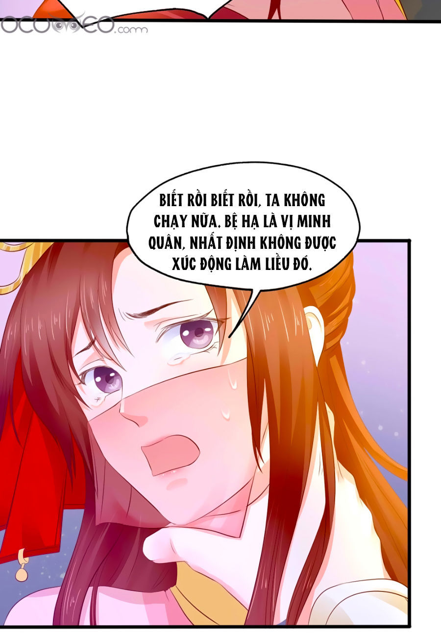 Bệ Hạ! Dưa Hái Xanh Không Ngọt Chapter 4 - Trang 2