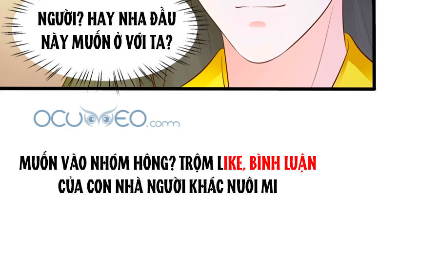 Bệ Hạ! Dưa Hái Xanh Không Ngọt Chapter 3 - Trang 2