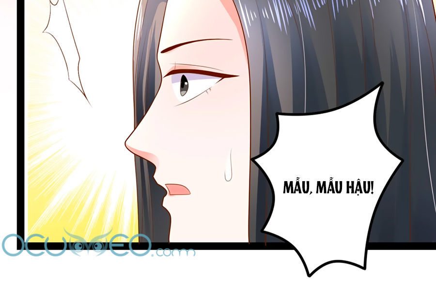 Bệ Hạ! Dưa Hái Xanh Không Ngọt Chapter 1 - Trang 2