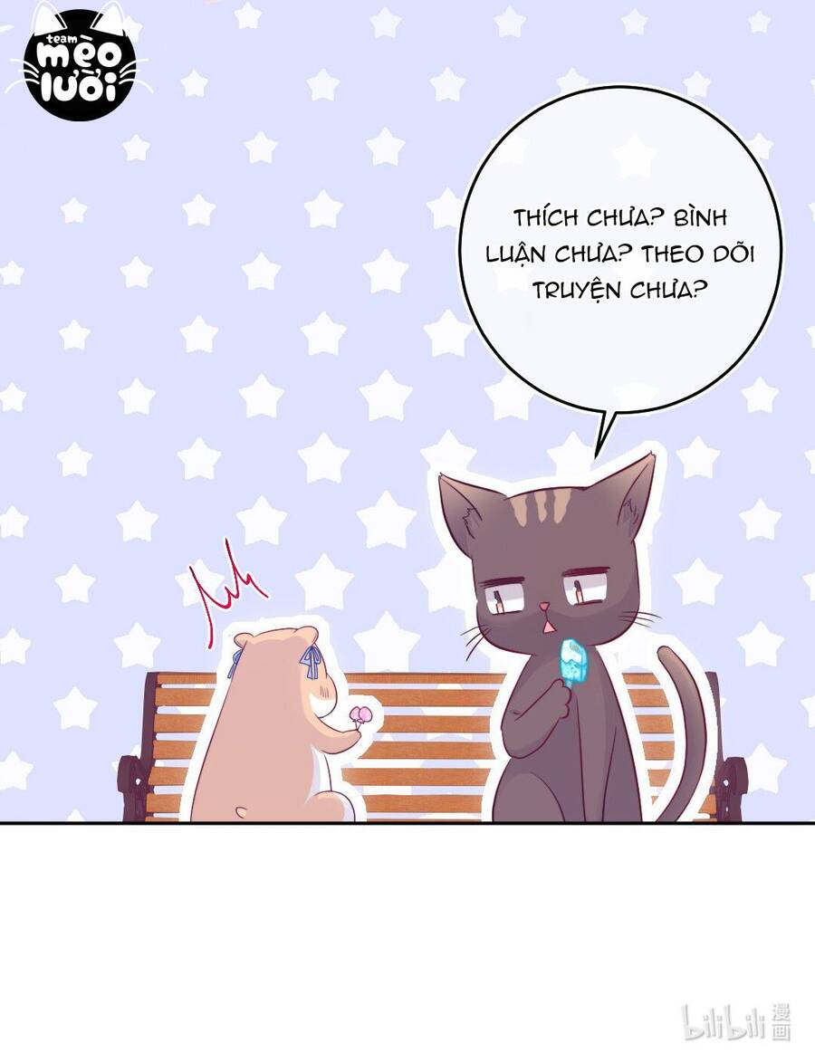 Khi Cô Gái Nhìn Thấy Thời Gian Chapter 26 - Trang 2