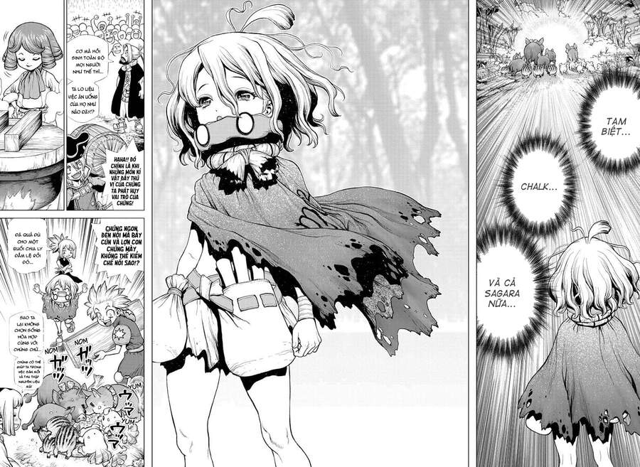 Dr.Stone Chapter 212 - Trang 2