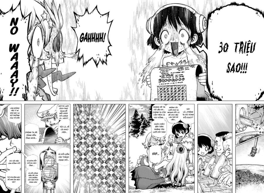 Dr.Stone Chapter 208 - Trang 2