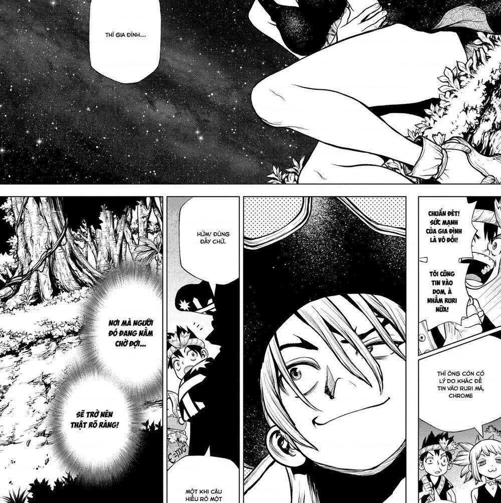Dr.Stone Chapter 204 - Trang 2