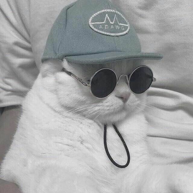 Dr.Stone Chapter 108 - Trang 2